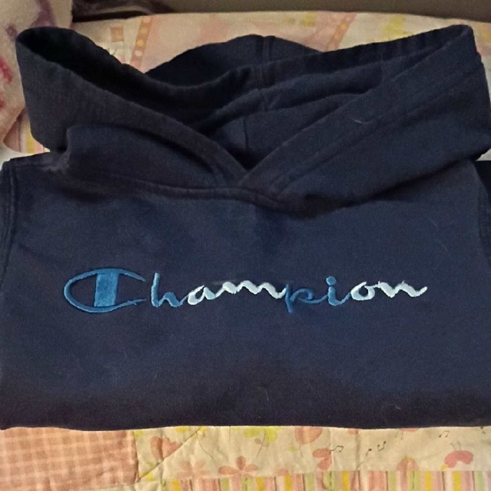 Champion Dark Blue Pullover